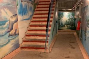 Locatarii unui bloc din Constanta si-au transformat subsolul. Au in plan si amenajarea unei sali de fitness