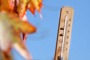 Vreme deosebit de caldă până la sfârşitul lunii decembrie