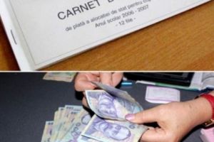 PSD vrea dublarea alocatiei pentru copii. Alocaţia pentru copiii cu dizabilităţi ar urma să fie de 600 de lei.