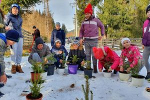 Puieţi de molid, sădiţi în ghivece de elevi, la Ocolul Silvic Cârlibaba