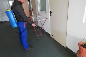 Actiune de dezinsectie in campusul social Henri Coanda din Constanta