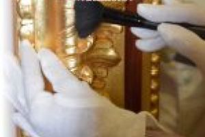 Conservarea patrimoniului cultural, la Muzeul Olteniei!