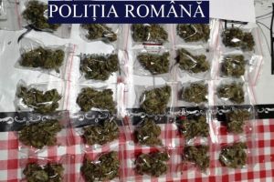 BCCO Constanta. Perchezitii la persoane suspectate de trafic de droguri. Ce s-a descoperit (galerie foto) 