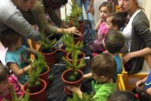 În cadrul  Campaniei „Un copil, un brăduţ”, participanţii  au plantat nu doar brăduţi, ci  au plantat „viaţă”