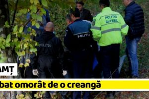 NEAMȚ: Bărbat omorât de o creangă