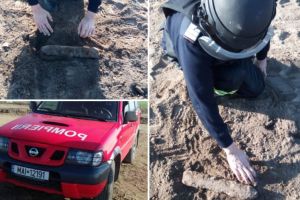 Element de munitie neexplodata in zona Peceneaga. Pirotehnistii la fata locului  