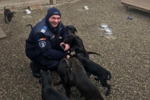 Gest inedit al jandarmilor harghiteni