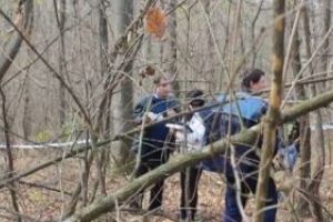 Tragedie! Un bărbat a murit în pădure, strivit de un copac