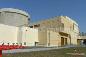 Nuclearelectrica cumpara piese de schimb de la o firma din Cluj-Napoca (document)