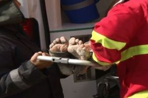 Carbonizat în incendiu la Ştefăneşti