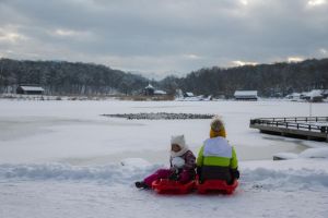 Programul Muzeului ASTRA în perioada sărbătorilor