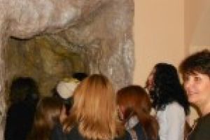 Expoziţia temporară “Peşti marini şi oceanici  din patrimoniul Secţiei de Știinţele Naturii”,  la Muzeul Olteniei!