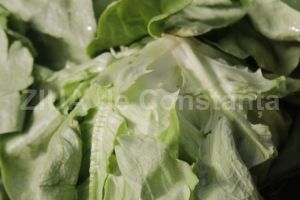 Salata verde, leguma cu efecte miraculoase 