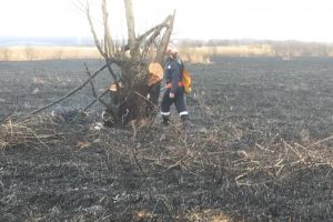 FOTO Incendiu de vegetaţie în localitatea Vale