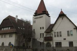 Programul de sărbători al companiei Aquaserv