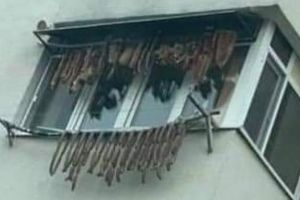 Imagine virală – cârnaţi şi slănină întinse la uscat, la geam