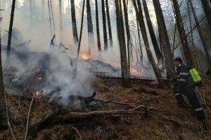 Peste o sută de oameni s-au chinuit să stingă un incendiu după ce un inconştient a aruncat ...