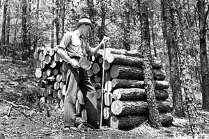 „Un administrator silvic inconştient”