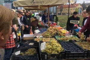 Consiliul Judeţean Sibiu a ales comercianţii din Piaţa Transilvania