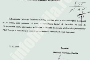 Dupa ce a votat Guvernul Orban/ Deputatul Emilia Meirosu intra din nou in PSD / Brailenii spun ca motivul este prostia