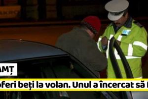NEAMȚ: 6 şoferi beţi la volan. Unul a încercat să fugă