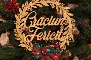 Primarul comunei Coţuşca, Dan Vezeteu: Să aveţi sărbători luminate şi un an nou mai bun!