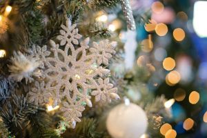 Primarul comunei Todireni, Petru Toma: Să vă bucuraţi de sărbători şi să aveţi un an nou îmbelşugat!