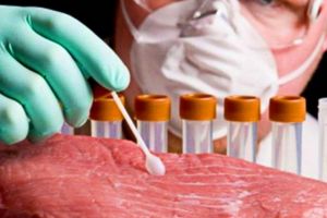 Ce trebuie să ştii despre trichineloză. Atenţie la carnea de porc!