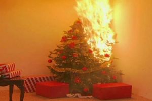 Sfaturi de la pompieri. Mare atenţie la brad