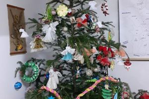 Zeci de colindători au vestit Naşterea Domnului, la sediul Protecţiei Copilului Suceava