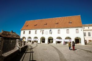 VIDEO Casa Artelor va deveni centrul tradiţiei româneşti. Care sunt planurile directorului Muzeului ASTRA