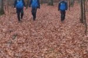 Jandarmii  sunt alături de locuitorii judeţului Covasna în perioada Sărbătorilor