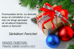 Dragoş Ciubotaru, primar Vizantea-Livezi: „Frumuseţea iernii să vă aducă împlinire, iubire şi fericire!”
