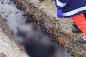 Tragedie în Ajun de Crăciun: o femeie din Bihor a fost găsită moartă într-un şanţ