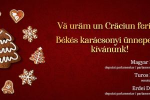 Deputatul Magyar Lorand vă transmite Crăciun Fericit!