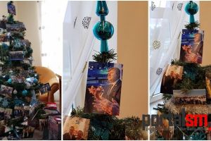 FOTO. Brad original la un partid în Satu Mare. Împodobit cu pozele liderilor