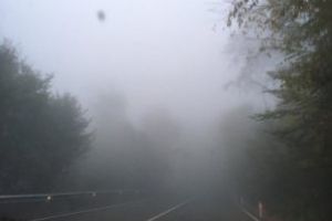 Ceata in Pasul Prislop. Circulatia rutiera pe drumurile publice din Maramures se desfasoara in conditii de iarna