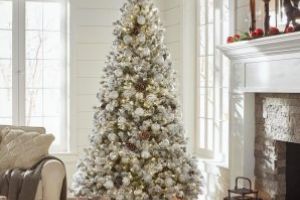 Povestea bradului de Craciun