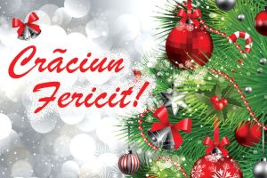Creştinii marchează, astăzi, Naşterea Domnului sau Crăciunul. BotosaniNews vă urează Sărbători fericite!