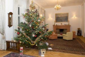 Primul brad de Craciun, din Romania a aparut la curtea Regelui Carol I. Povestea bradului de Craciun in lume