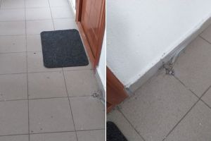 FOTO ȘTIREA TA| Au colindat de a bubuit blocul: În noaptea de Crăciun, într-un bloc din Zlatna cineva a aruncat cu petarde până s-a spart gresia