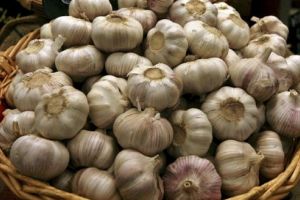 Mureş: Suprafaţa culturilor de usturoi, în creştere!