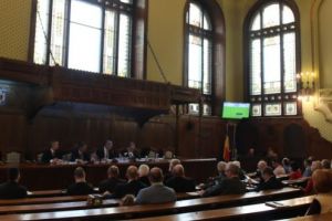 Centrul de Recuperare şi Reabilitare Neuropsihiatrică Brâncoveneşti, restructurat