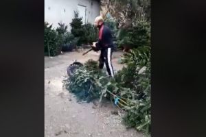 VIDEO Supărare mare în Piaţa Cibin – Un comerciant nervos a tăiat cu drujba toţi brazii