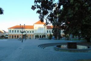 RETROSPECTIVĂ 2019 Covasna: Anul implicării tinerilor în viaţa comunităţii