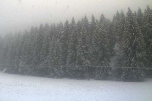 Cod galben de ninsori la Braşov