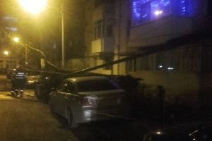 FOTO Trei maşini parcate pe o stradă din Botoşani, avariate după căderea unui copac