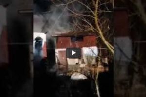 VIDEO – Câinii AU LĂTRAT anunţând DEZASTRUL