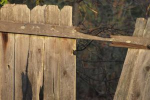 Un bărbat din Lupeni a distrus gardul şi cutia poştală de la un imobil din Odorheiu Secuiesc