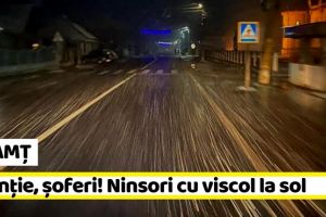 NEAMȚ: Atenţie, şoferi! Ninsori cu viscol la sol pe drumurile din regiunea Moldovei